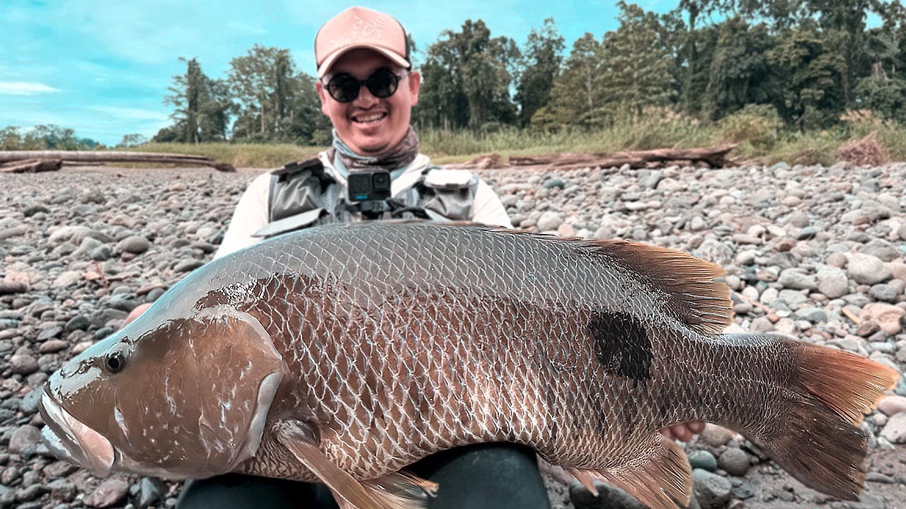 CATCH OF A LIFETIME IN EAST INDONESIA! |  FULL OF TOP WATER EXPLOSION! SPOTTAIL BASS FISHING ACADEMY