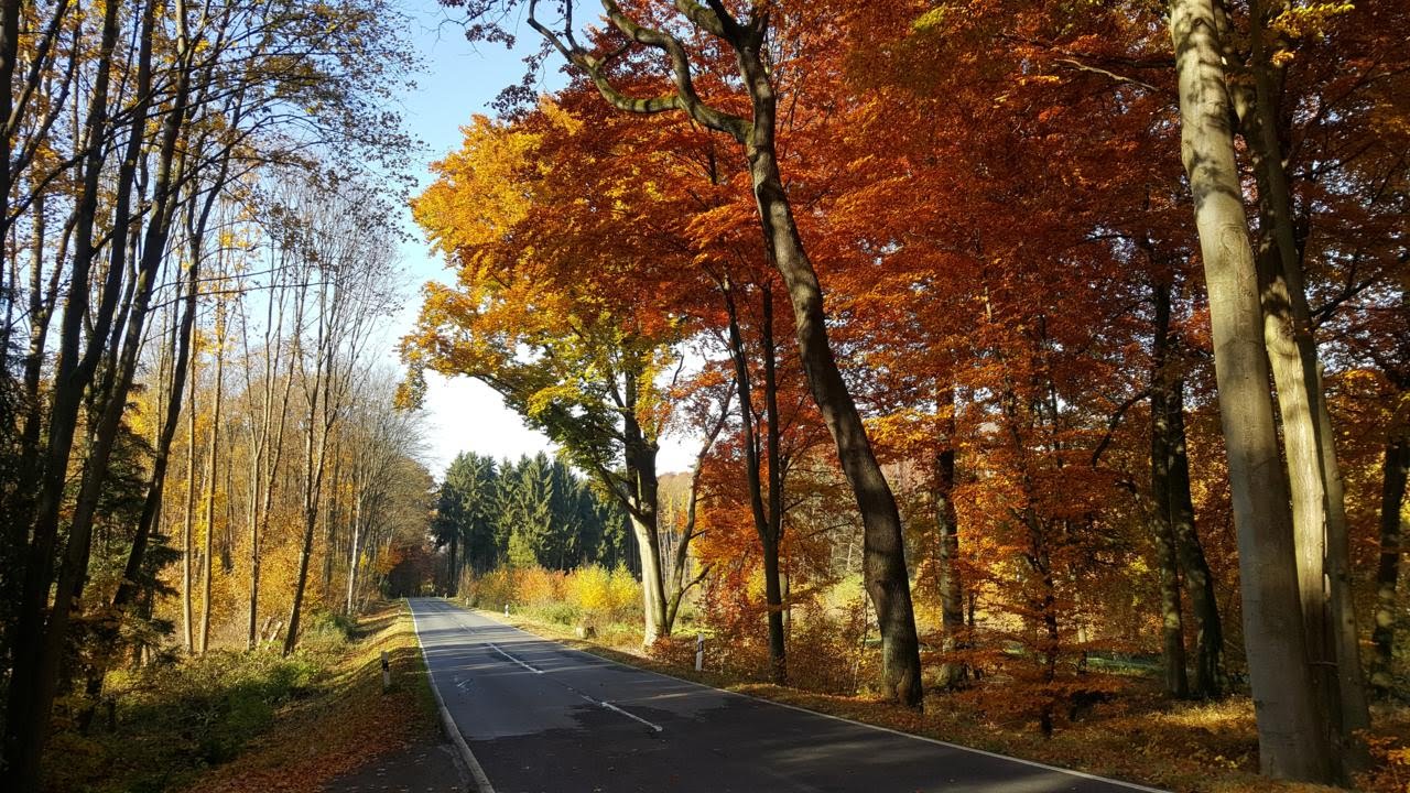 Autumn Hues in Germany