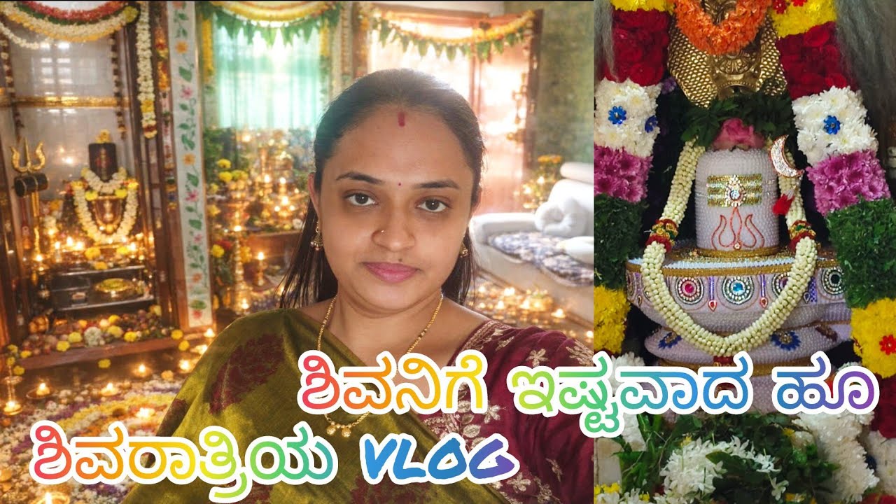 ಶಿವರಾತ್ರಿಯ vlog // temple visit #dailyvloggers #kannada @hachahasirudailyvlog 