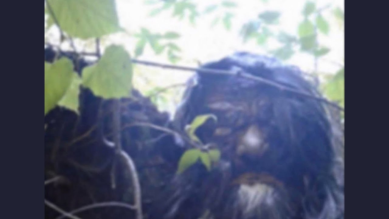 A Bigfoot Sighting Documented In The Library of Congress