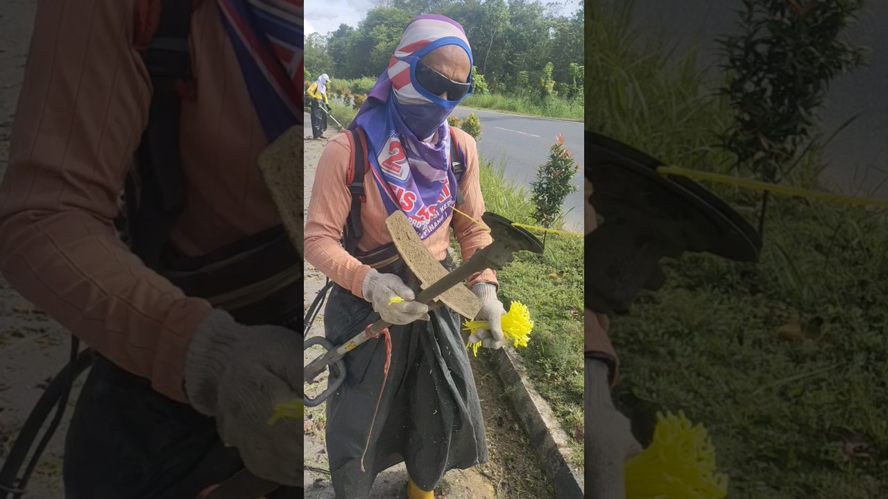 CARA GANTI SENAR MESIN RUMPUT YANG SUDAH TUMPUL #shorts #mesinrumput #potongrumput