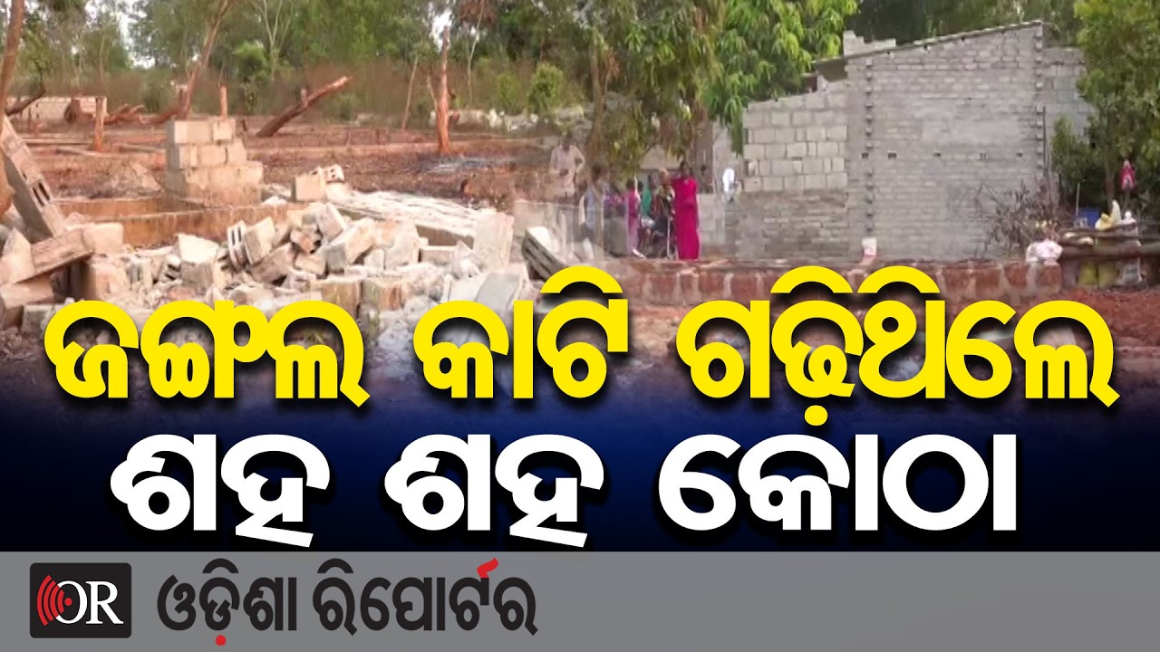 ଜଙ୍ଗଲ କାଟି ଗଢ଼ିଥିଲେ ଶହ ଶହ କୋଠା | Odisha Reporter