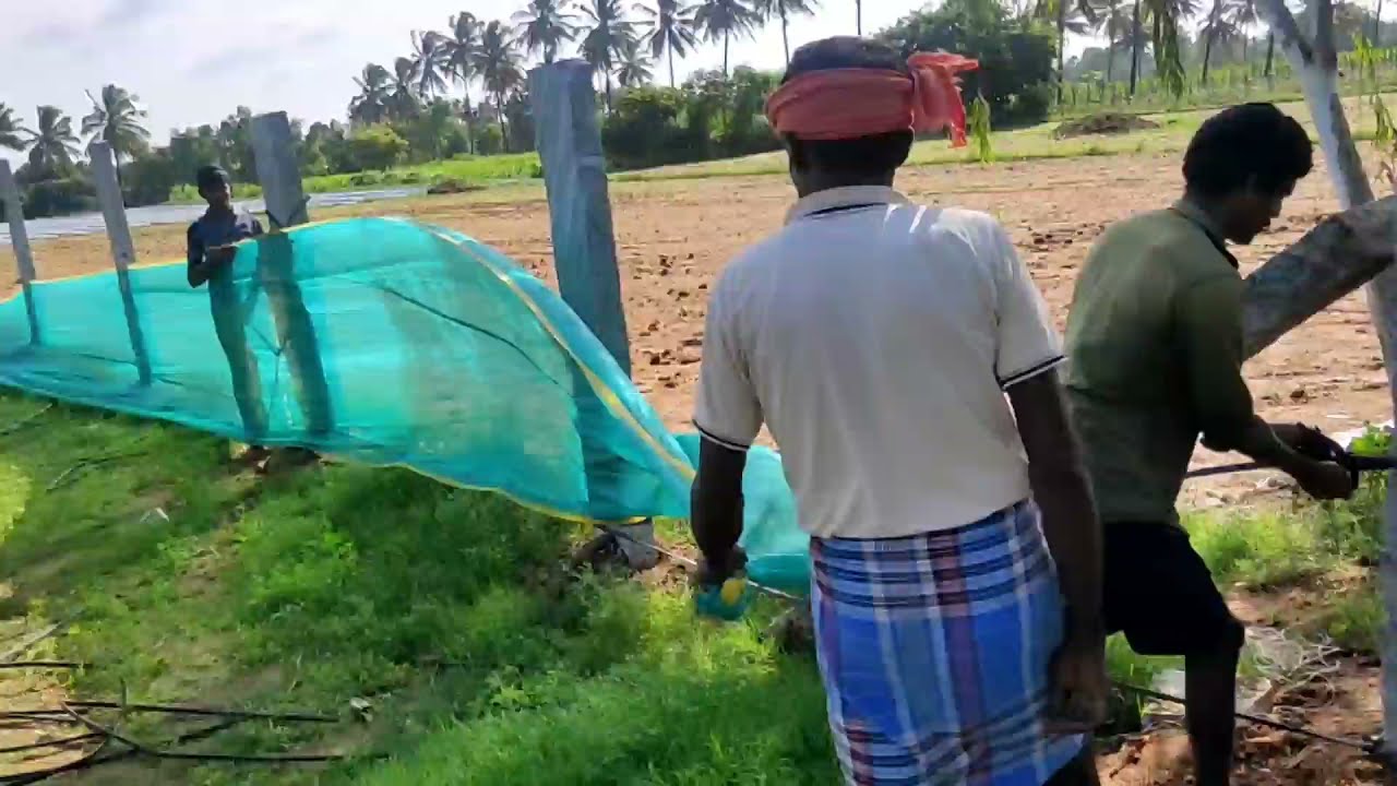 Green net fencing for farming | green net fencing | low cost fencing | Shadenet fencing 