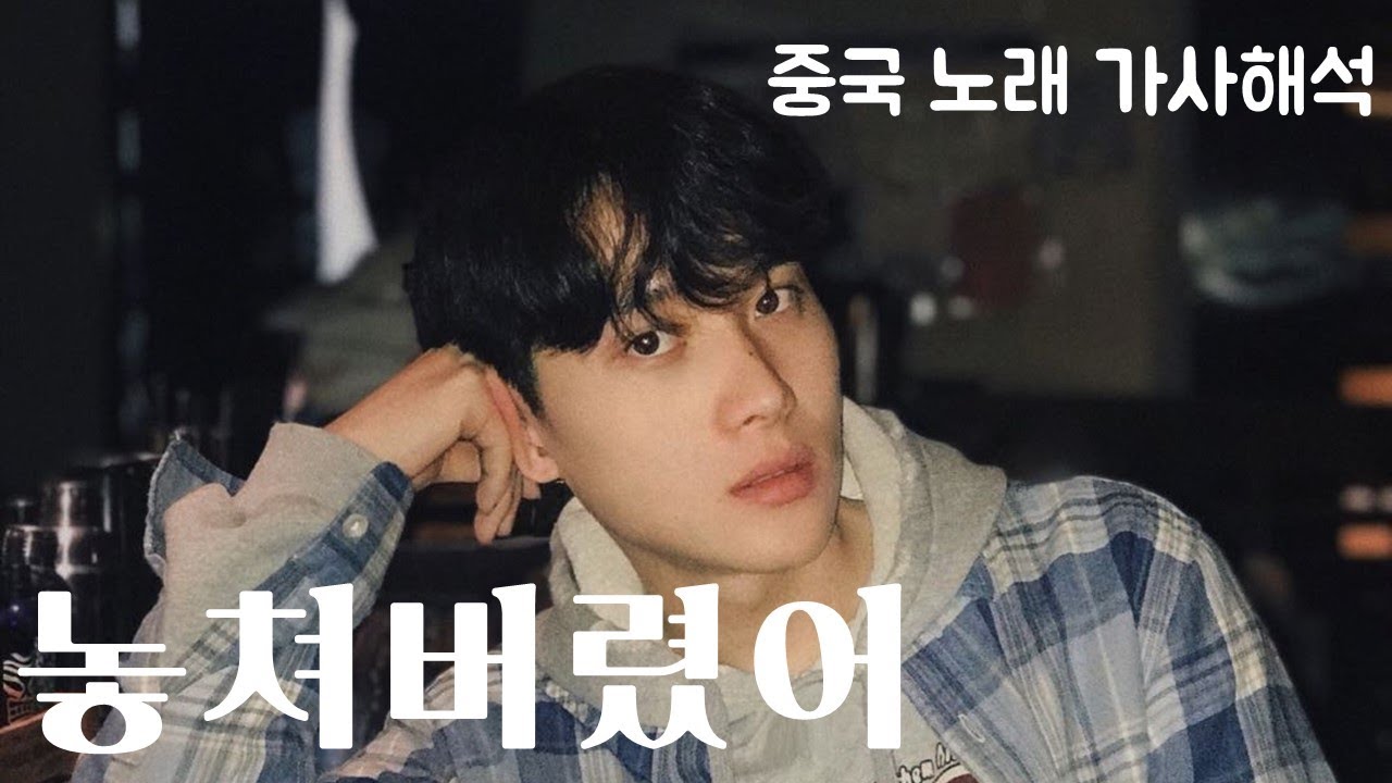 요즘 유행하는 중국 노래 
