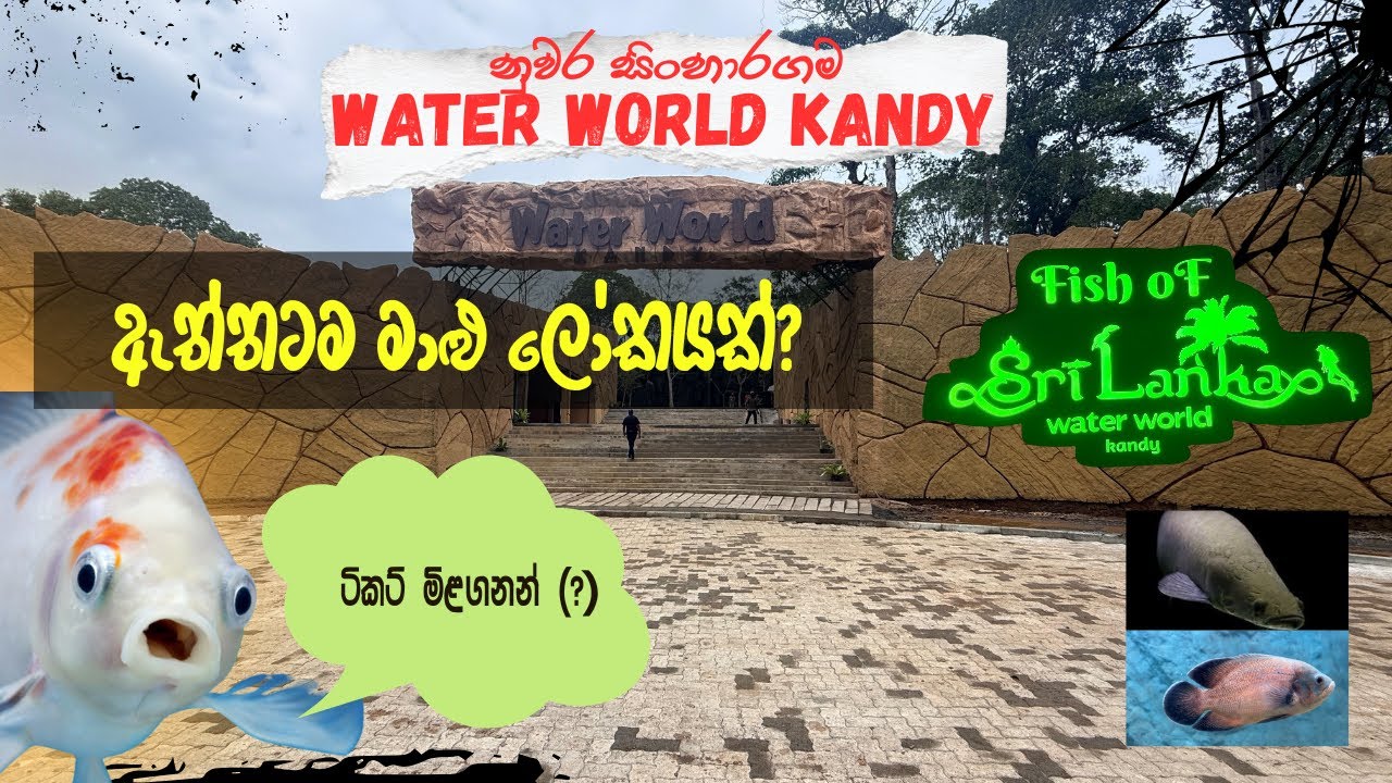 Water World Kandy Sinharagama | Is It Worth Visiting For Money? (Full Site Tour)