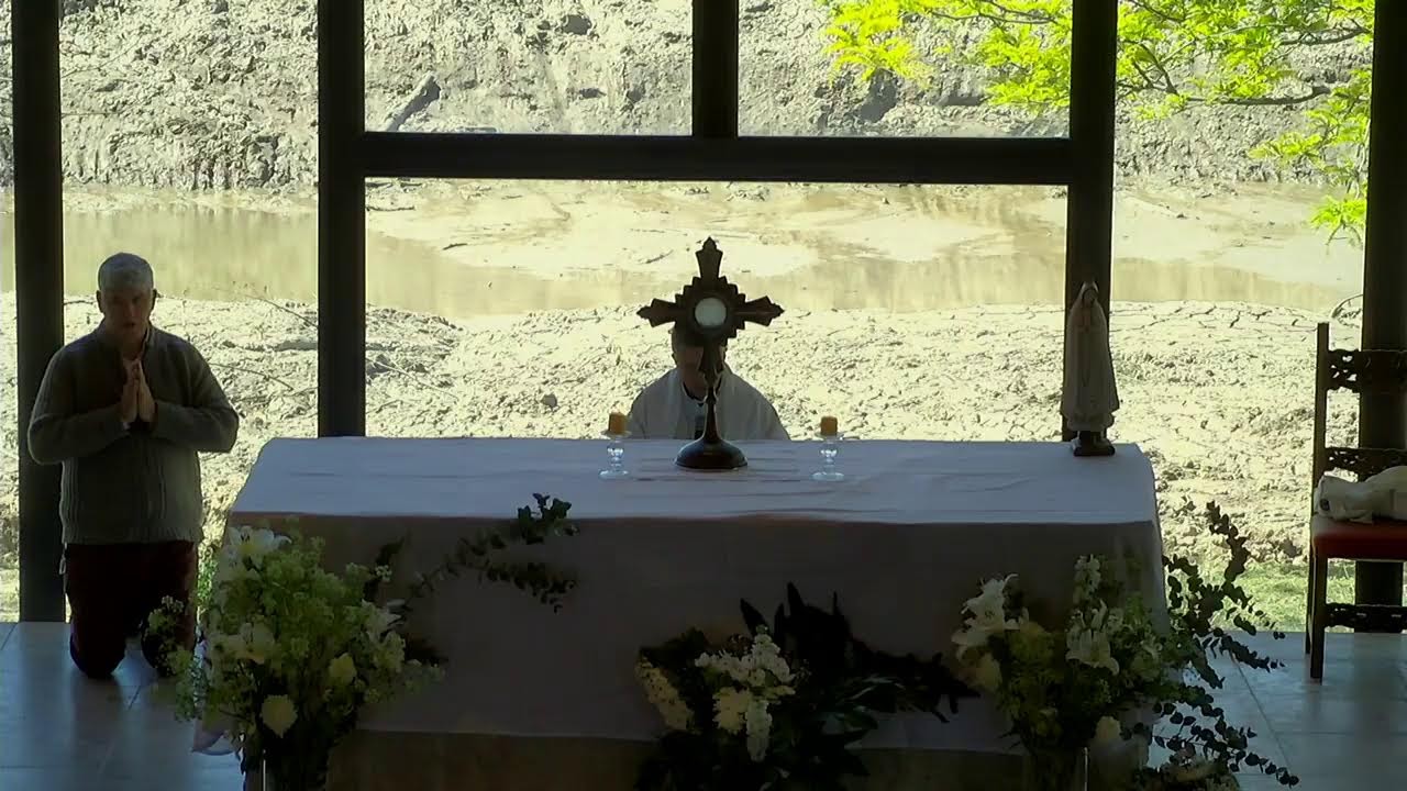 Jornada Proyecto Amor Conyugal Bs As Santidad Matrimonial 2