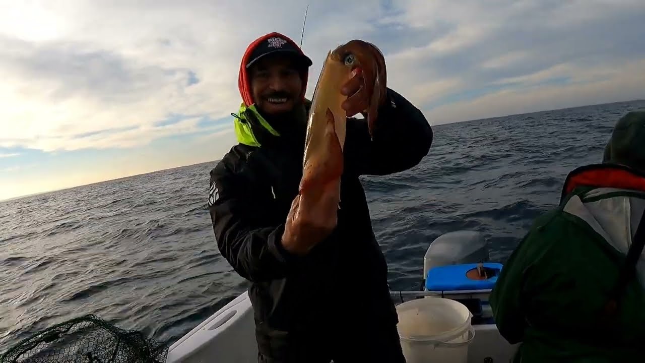 Fim de semana de pesca ás douradas em Setúbal.