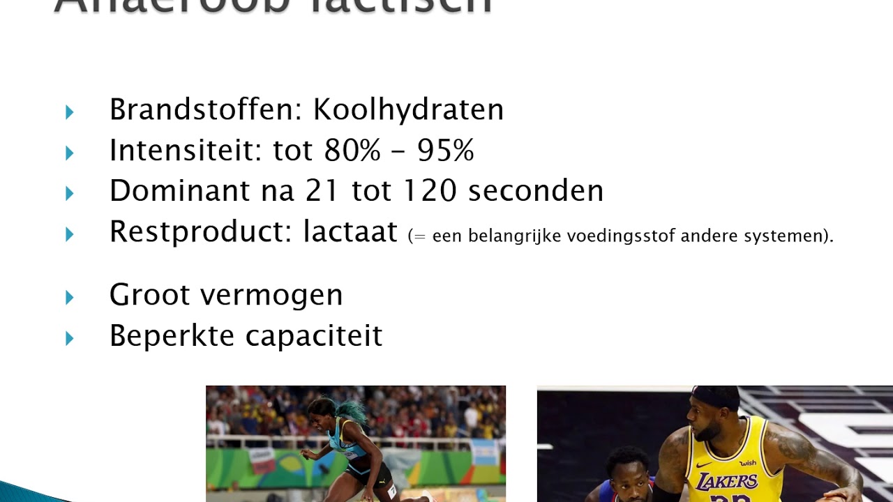 TRK 5.4 Energiesystemen en Uithoudingsvermogen