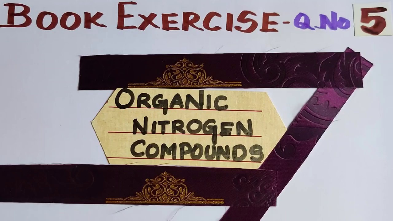 Q-5/PartI/Bk-Ex/5(I), 5(ii) & 5(iii)/Organic Nitrogen Compounds/ TN 12 th STD//Explanation in Tamil