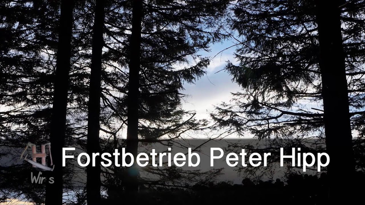 Forstbetrieb Peter Hipp in Waltenhofen im Allg&auml;u