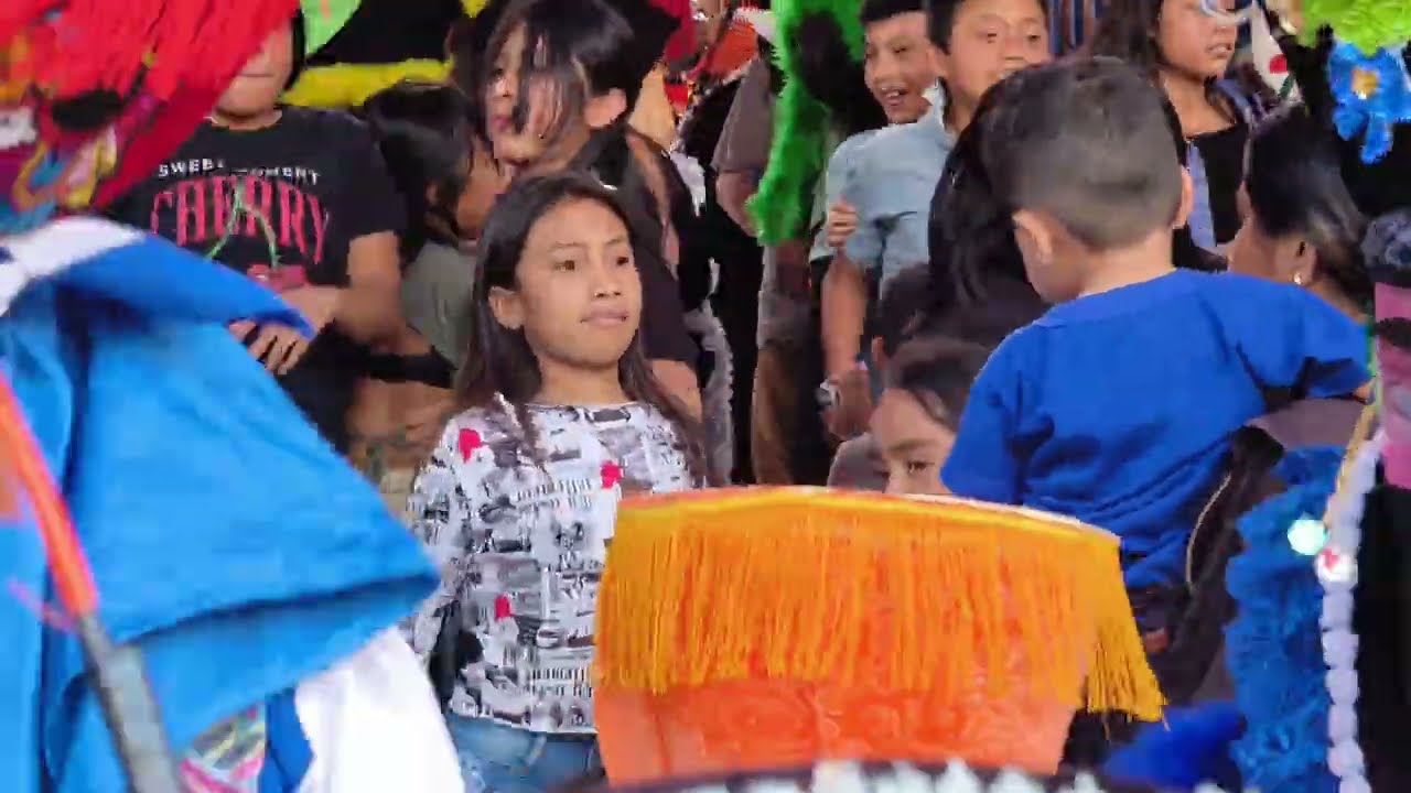 Ambiente Totalmente incontrolable en Patlicha Gro 2026