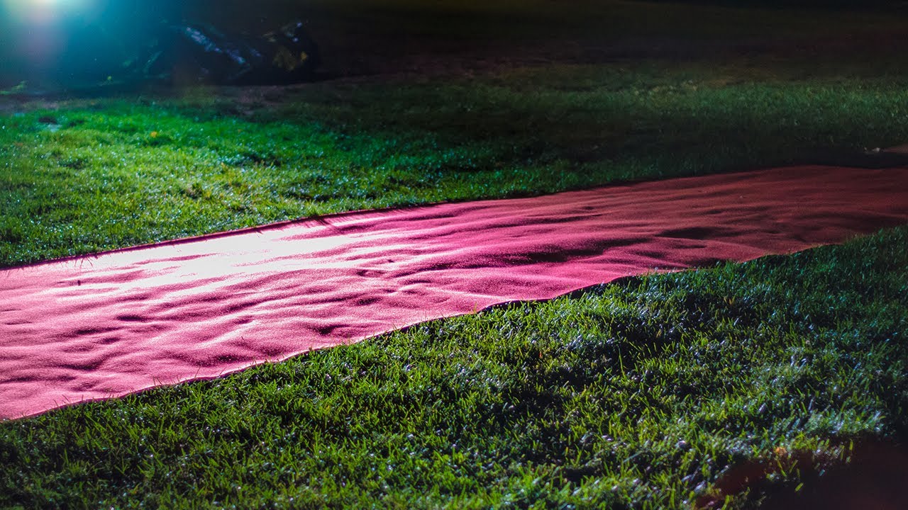 Scotiabank Nuit Blanche 2014: Ascendent Line by Wilfredo Prieto