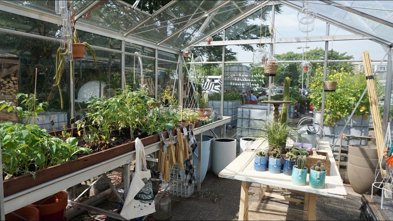 Intenz on Tour Utrecht