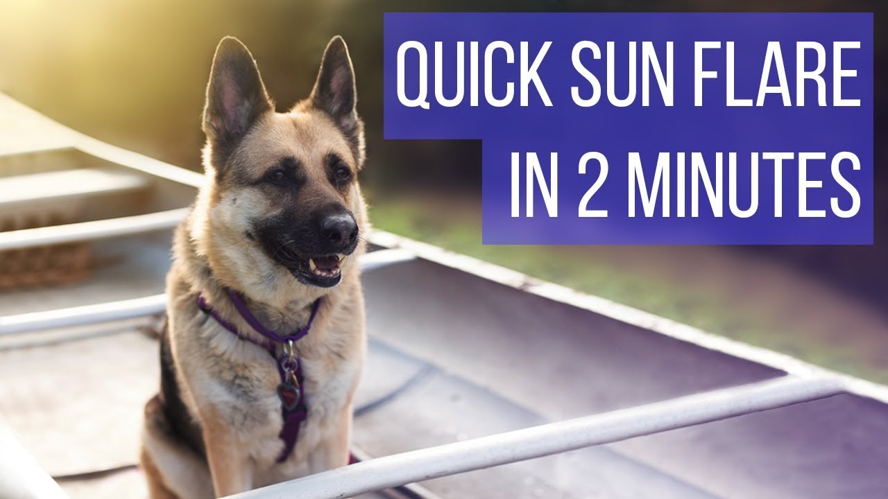 Create Sun Flares in 2 Minutes (Photoshop Tutorial)