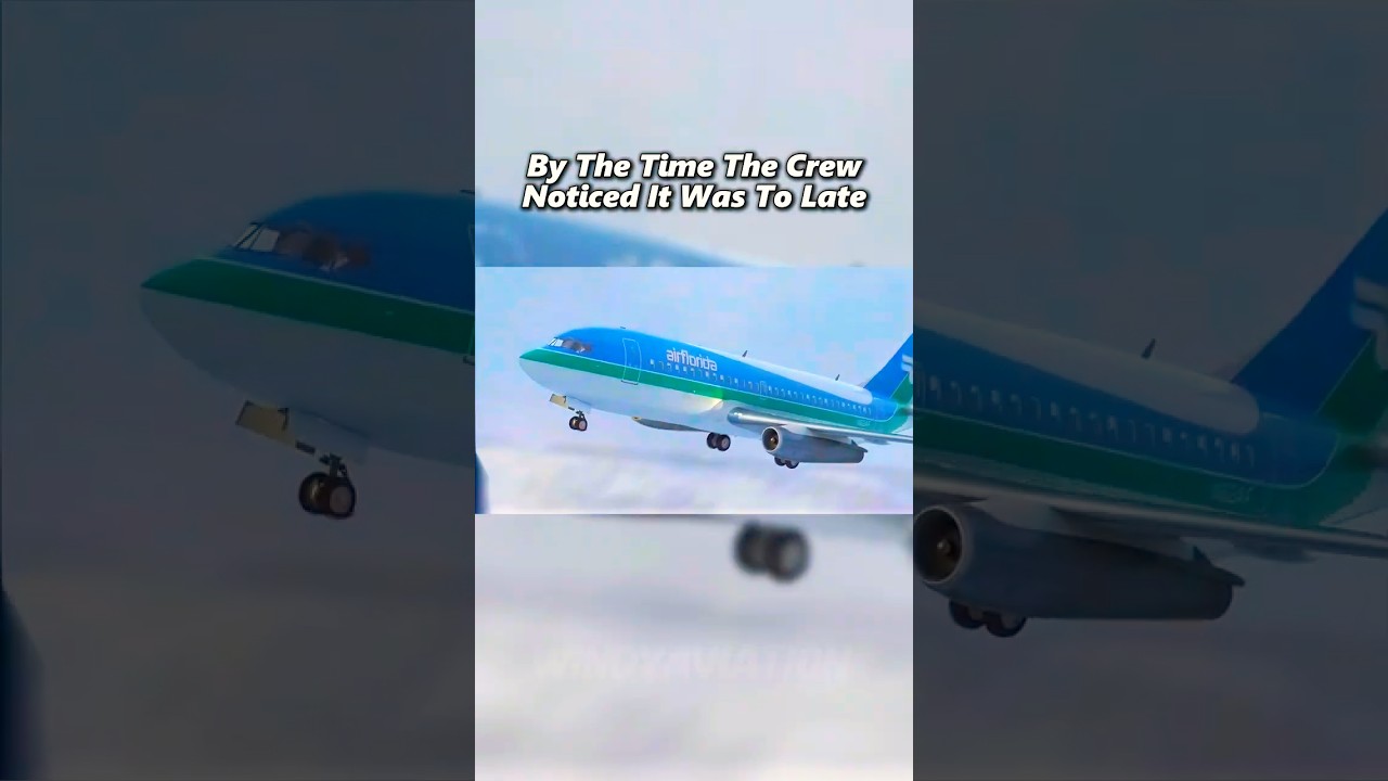Air Florida 90 The Deadliest Flight 💔 