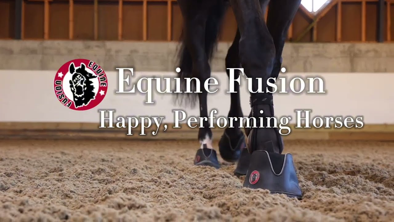 Equine Fusion: Active Jogging shoe