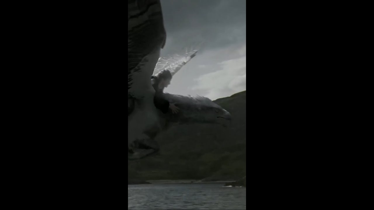 Harry flies around Hogwarts on Buckbeak #HarryPotter #Buckbeak #Hogwarts