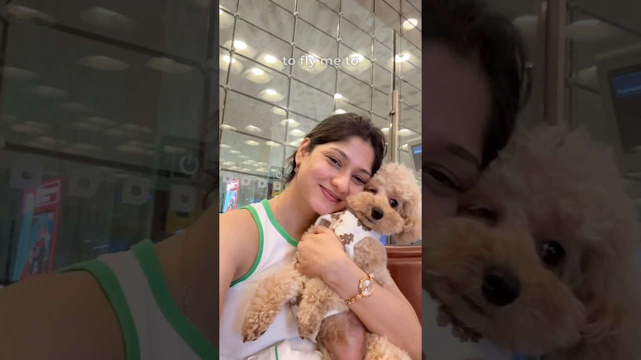 Dog Goes To New York😍 1st International Trip🙌 #dog #travel #EvieTv #vlog