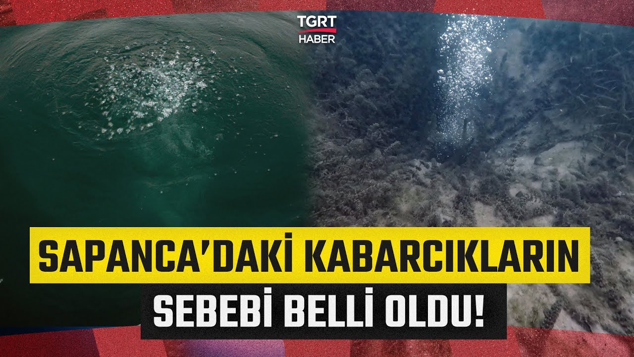 Sapanca G&ouml;l&uuml;'nde Su Kaynıyordu! Uzmanı İnceledi Ger&ccedil;ek Ortaya &Ccedil;ıktı - TGRT Haber