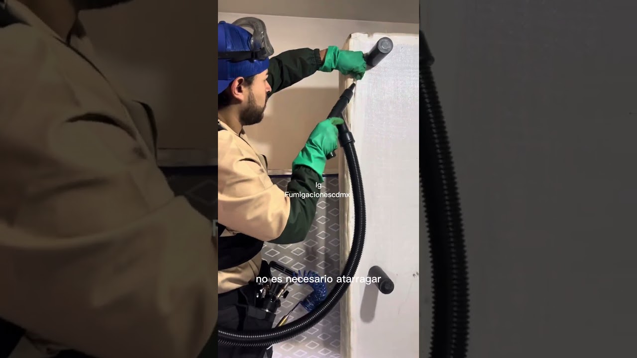 Fumigación para chinches y cucarachas en CDMX. Laboratorios FMC Alstar Dual 2023