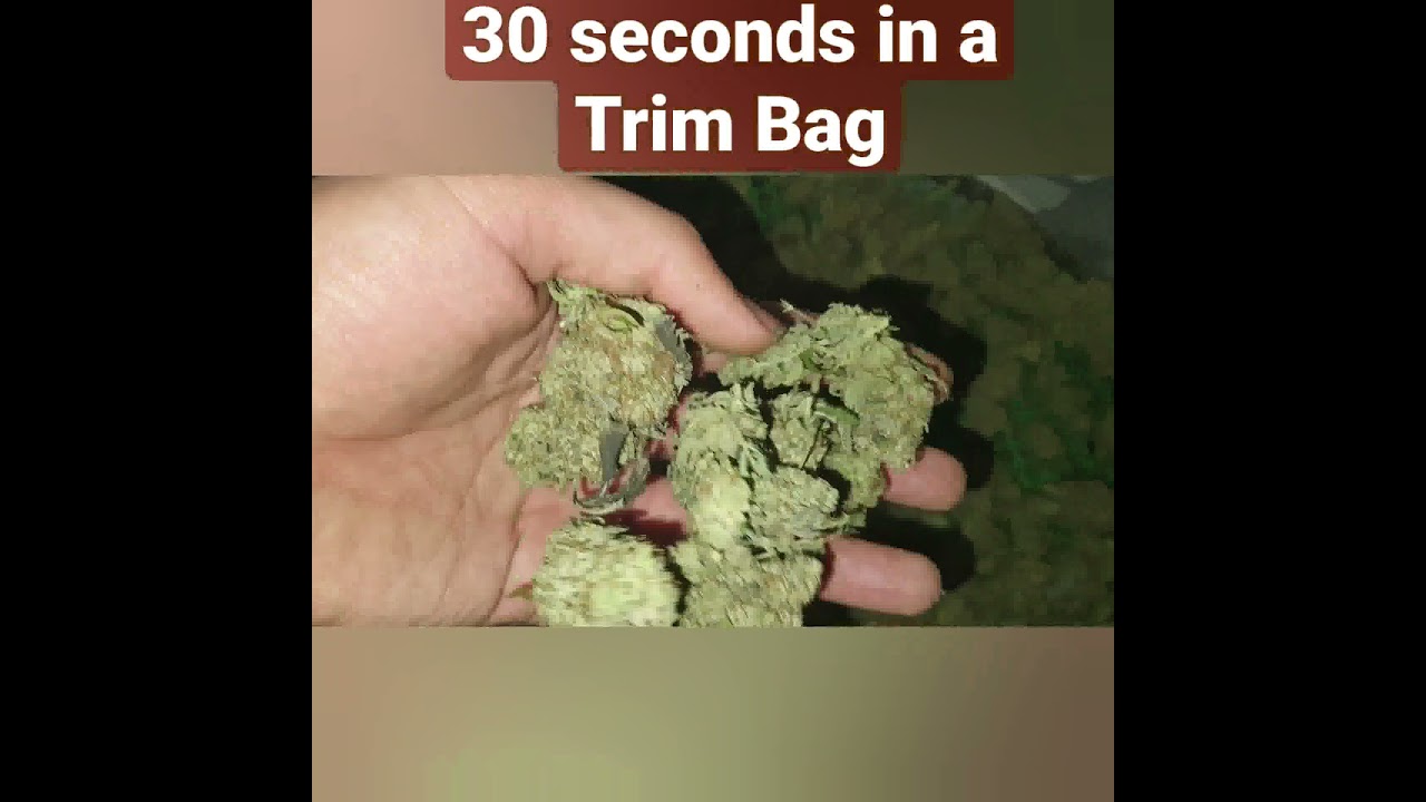 30 seconds in a Trim Bag , full review vieeo on the Chanel. code HWGG 15% off