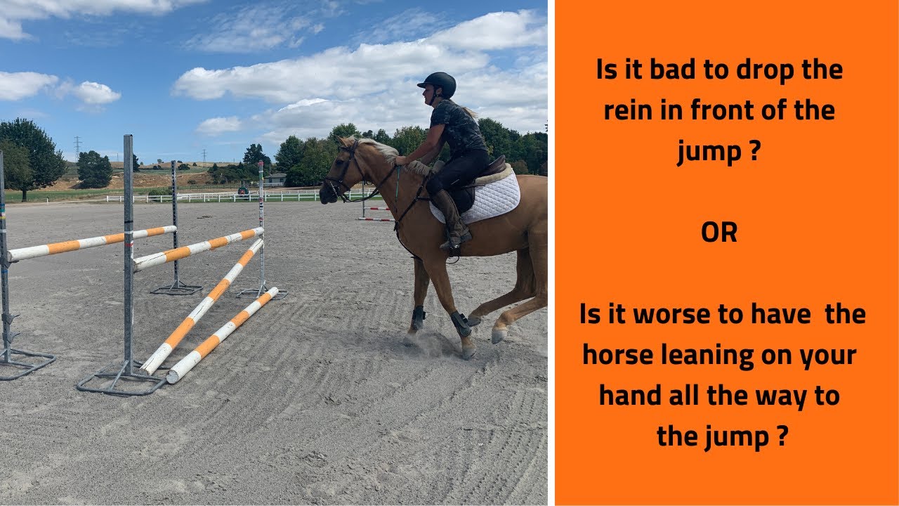 Dropping your horse is front of the jump, what you need to know