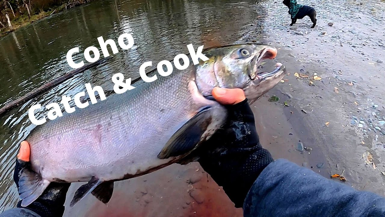 I Caught A Huge Coho Salmon In Under 5 Minutes! Coho & Chanterelle Catch & Cook! Ep.17