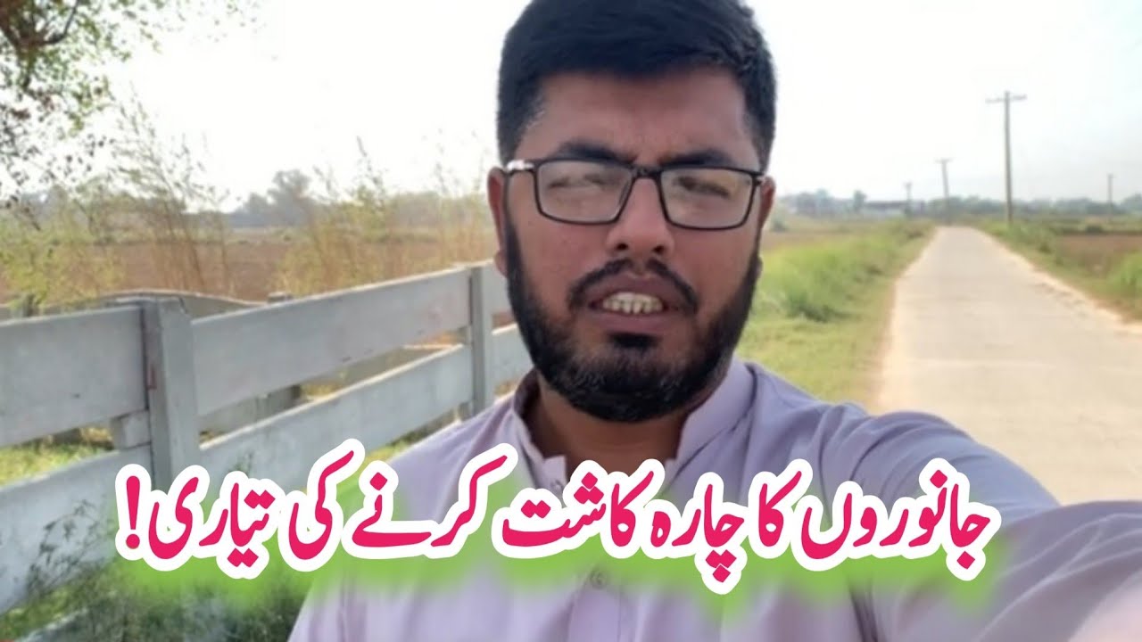 Janwaron Ka Chara Kasht Karne K Liye Beej Ki Khareedari