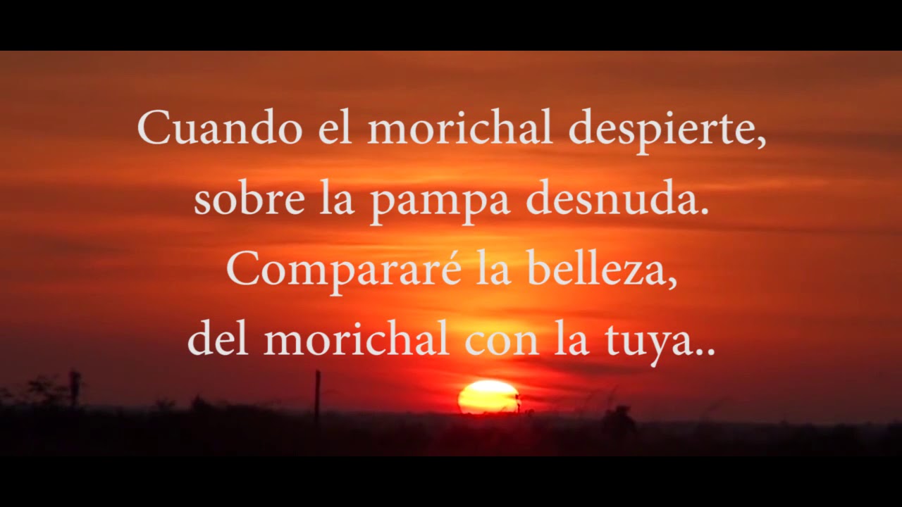 La dama y el morichal - Carmelo Flores @elpelonflores