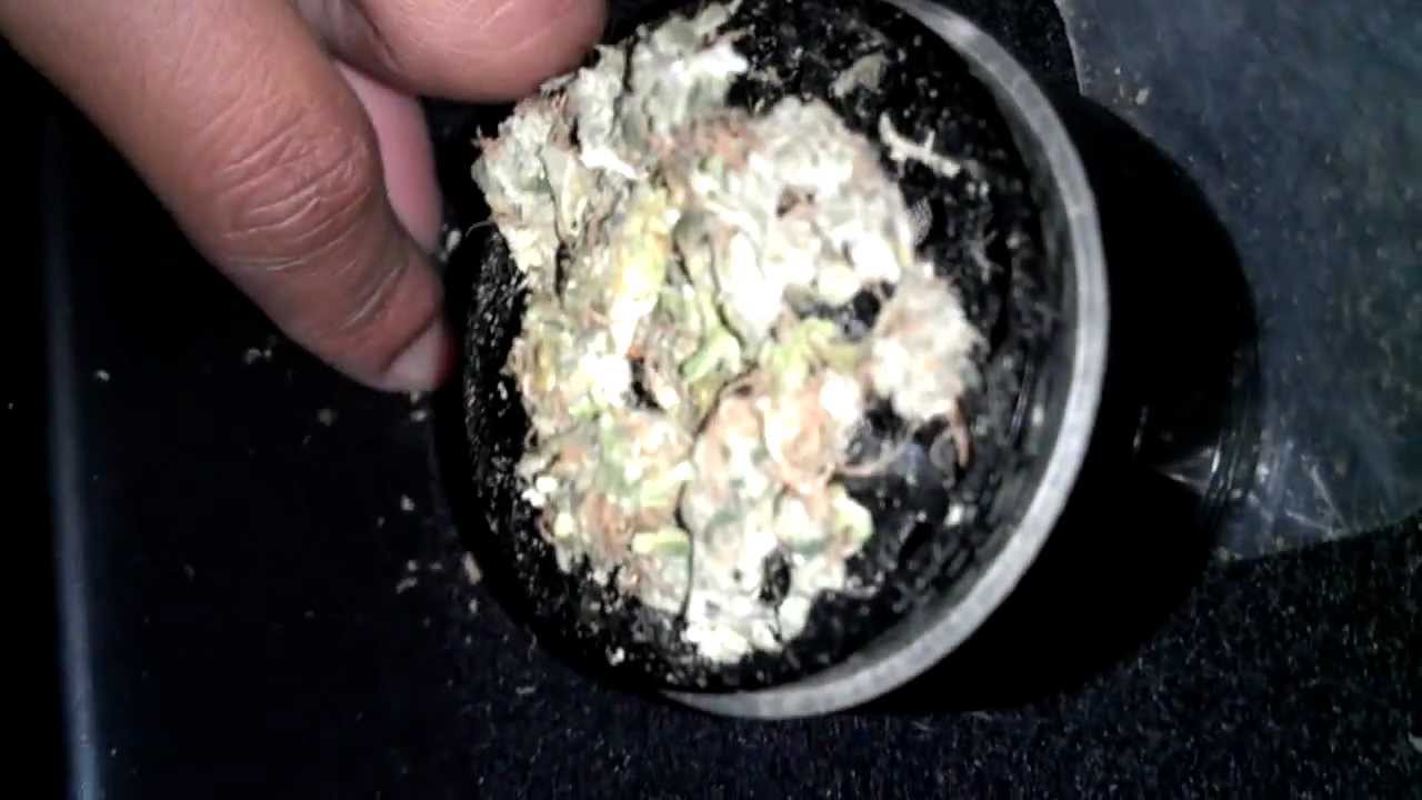 Fruits X Coconut Diesel X Super Lemon Haze X Medicinal