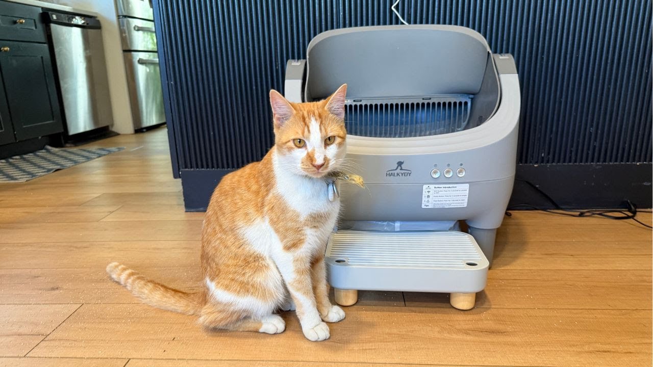 Upgraded Smart Litter Box for Multiple Cats | Quiet, Odor-Free, and App Controlled!