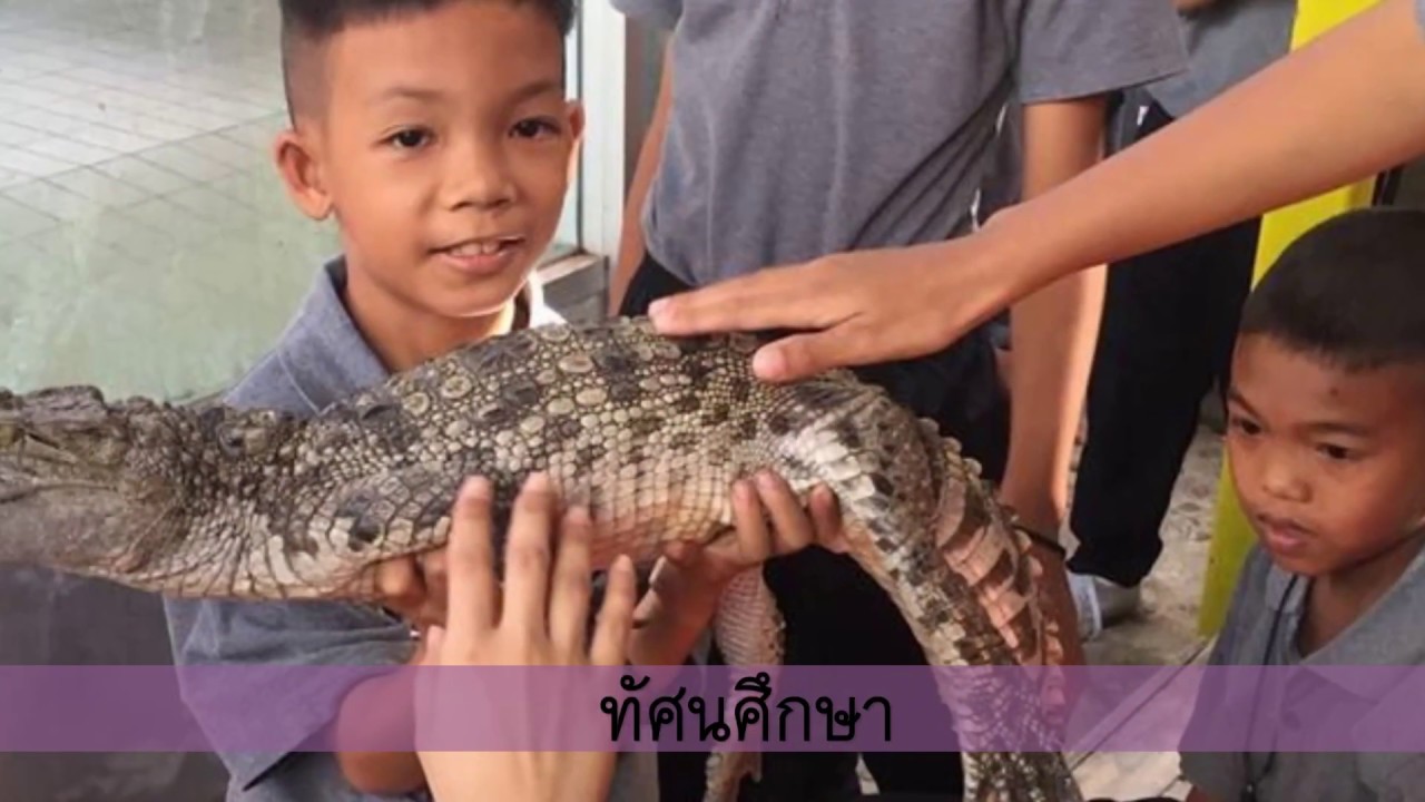 โรงเรียนวัดโรงเข้ (พุฒประชาสรรค์)