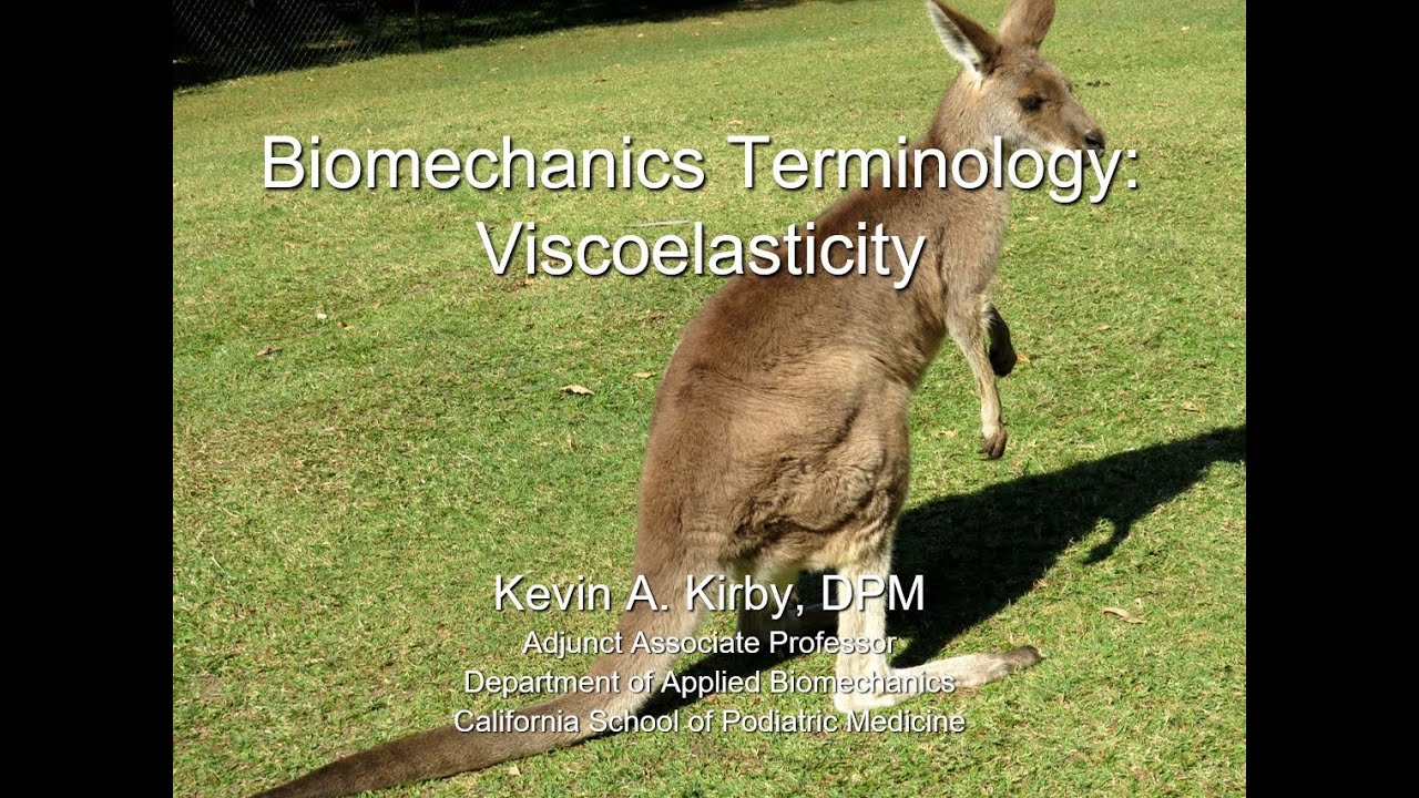 Biomechanics Terminology: Viscoelasticity