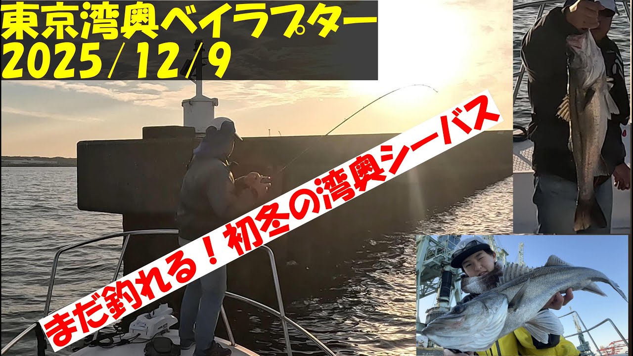 【東京湾ボートシーバス釣行記】令和７年１２月８日　シーズンも終盤ですが、まだまだがんばれば釣れる湾奥のシーバス釣りを満喫出来ました。