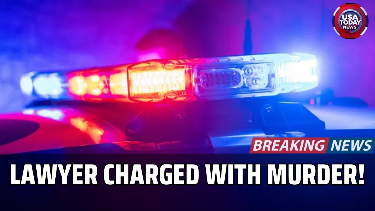 Cold Case Cracked: Ohio Lawyer Arrested in 2013 Murder of Aliza Sherman । USA TODAY NEWS