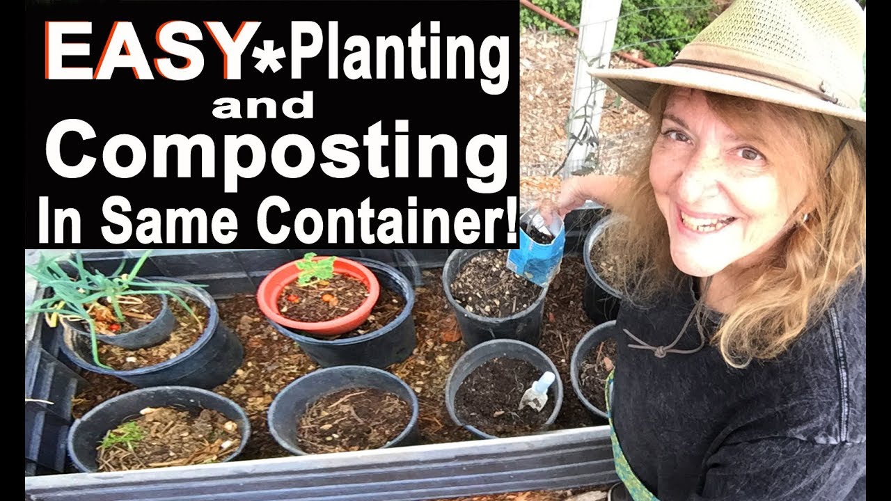HOW TO Container Garden & Compost in Place in LOTS of Pots - GROW More in a Single Raised Bed  CHEAP