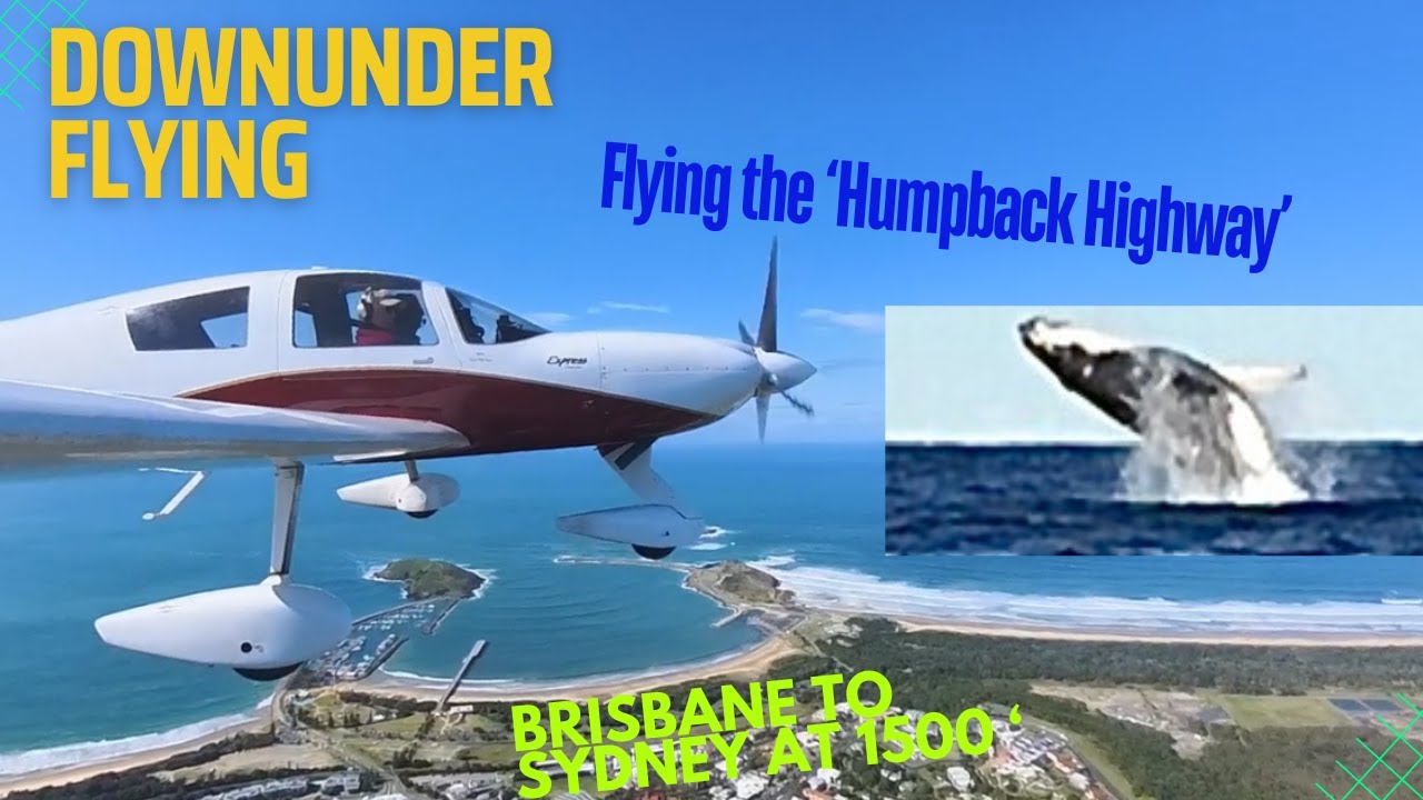 A low level flight down the &lsquo;Humpback Highway&rsquo; is an unforgettable experience.