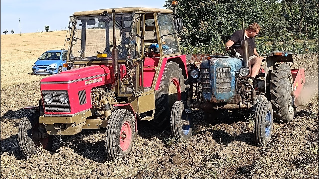 Vyorávání brambor 2024, Zetor 3011