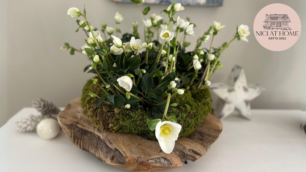 Christrosen Holzschale ✨ Dekoschale  ✨ Vorweihnachtliche Deko