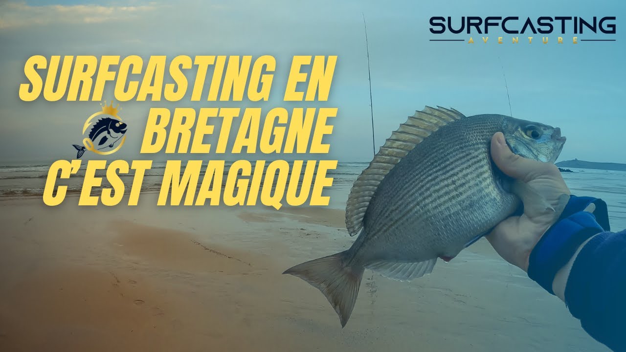 SURFCASTING S02 E01: PÊCHE EN BRETAGNE