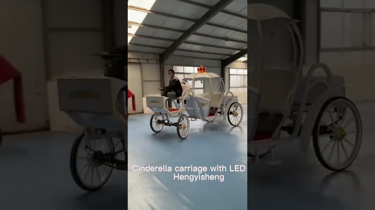 Hot sale Cinderella carriage