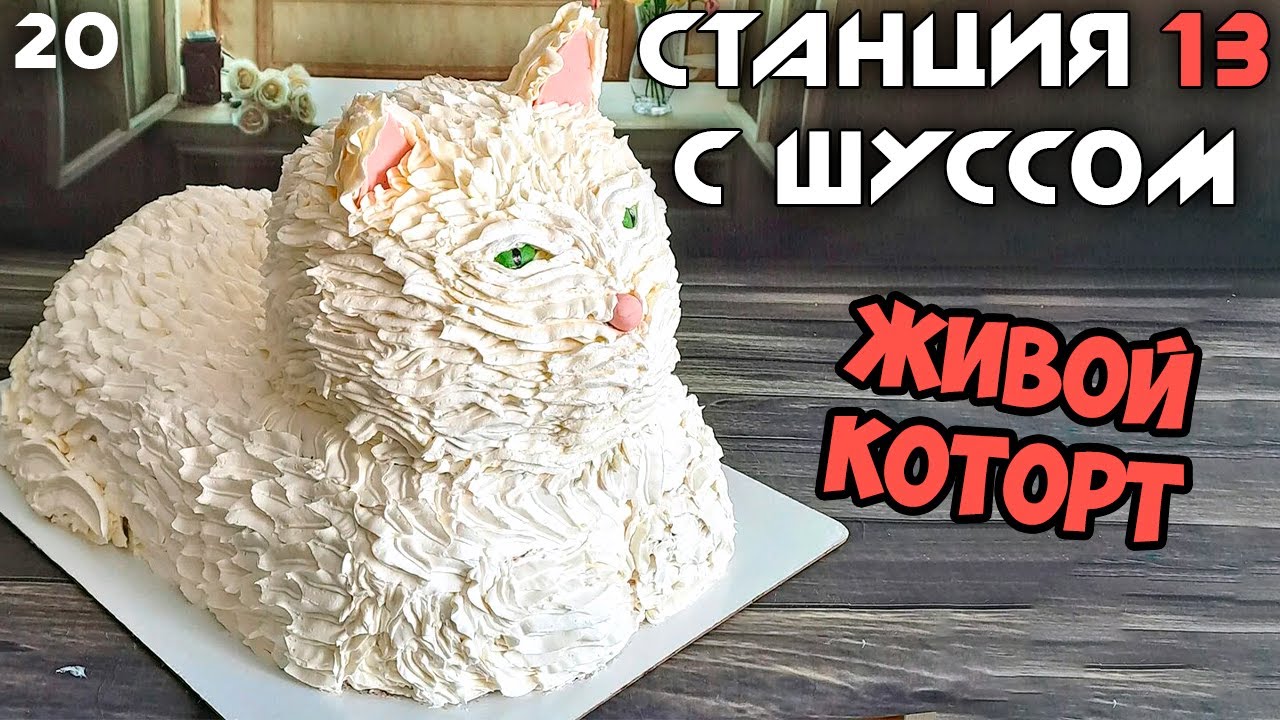 Шусс делает коТорт 🐱🍰 Space Station 13 (20)