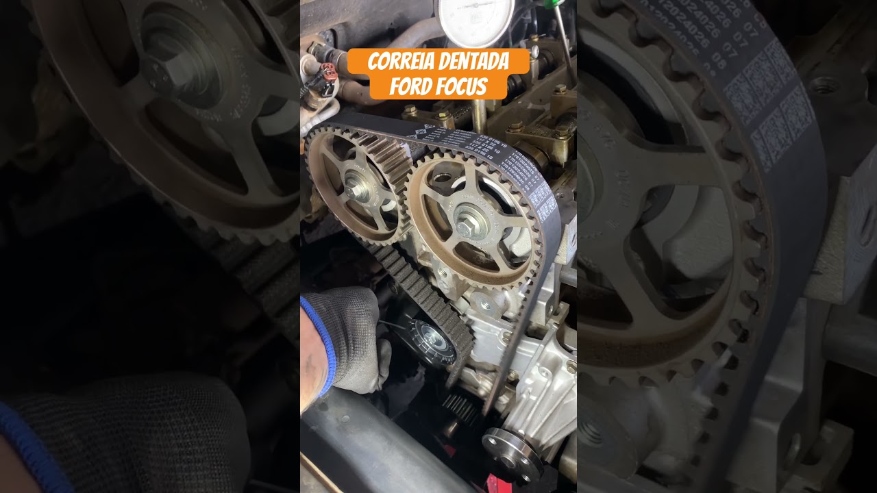 Correia Dentada do Ford Focus 👊🏻 #ford #focus #sigma #arocar #shorts