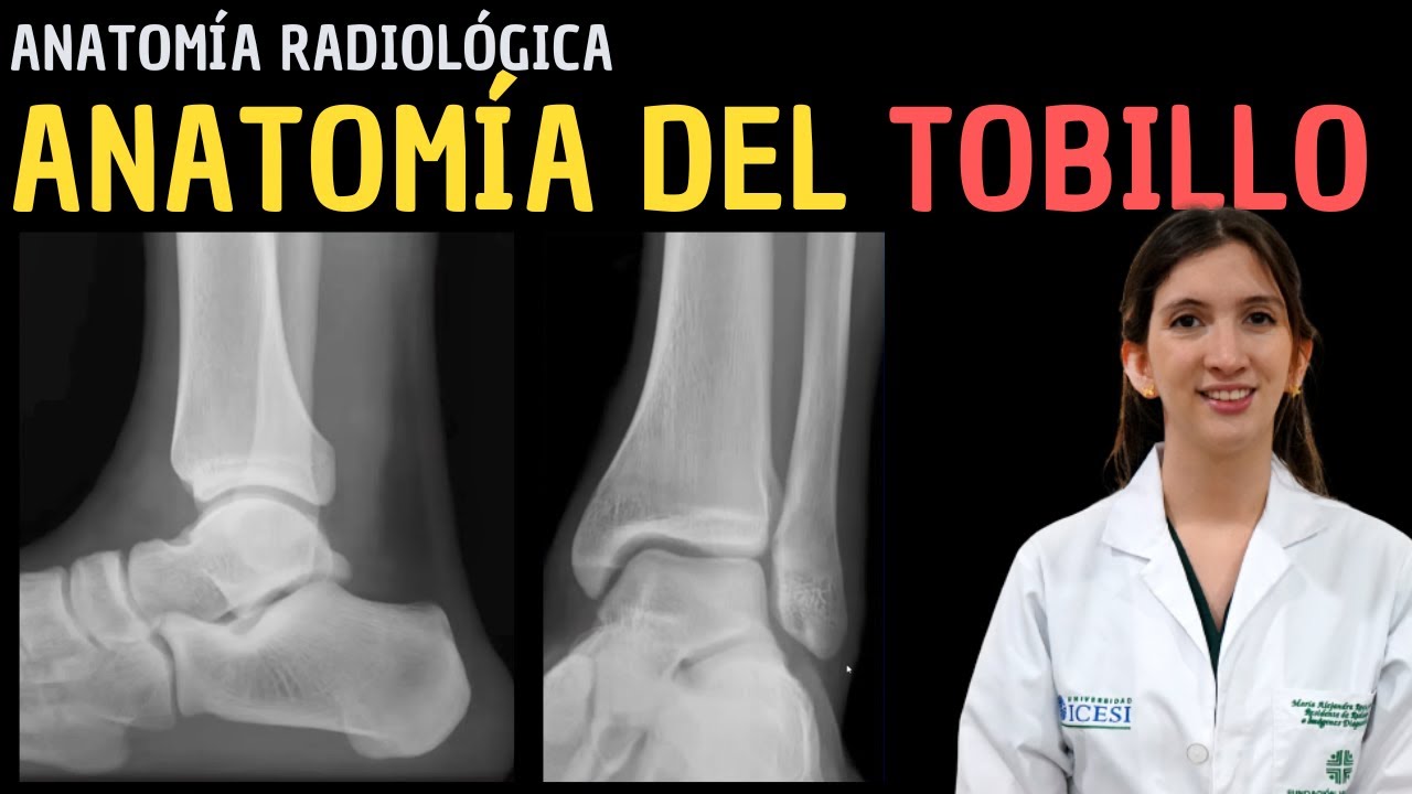 Anatomía Radiológica - Anatomía del tobillo.