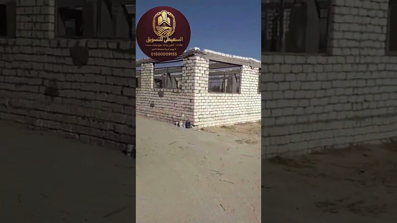 مزرعة 20 فدان بوادي النطرون للبيع – زيتون + طاقة شمسية | استثمار مضمون!