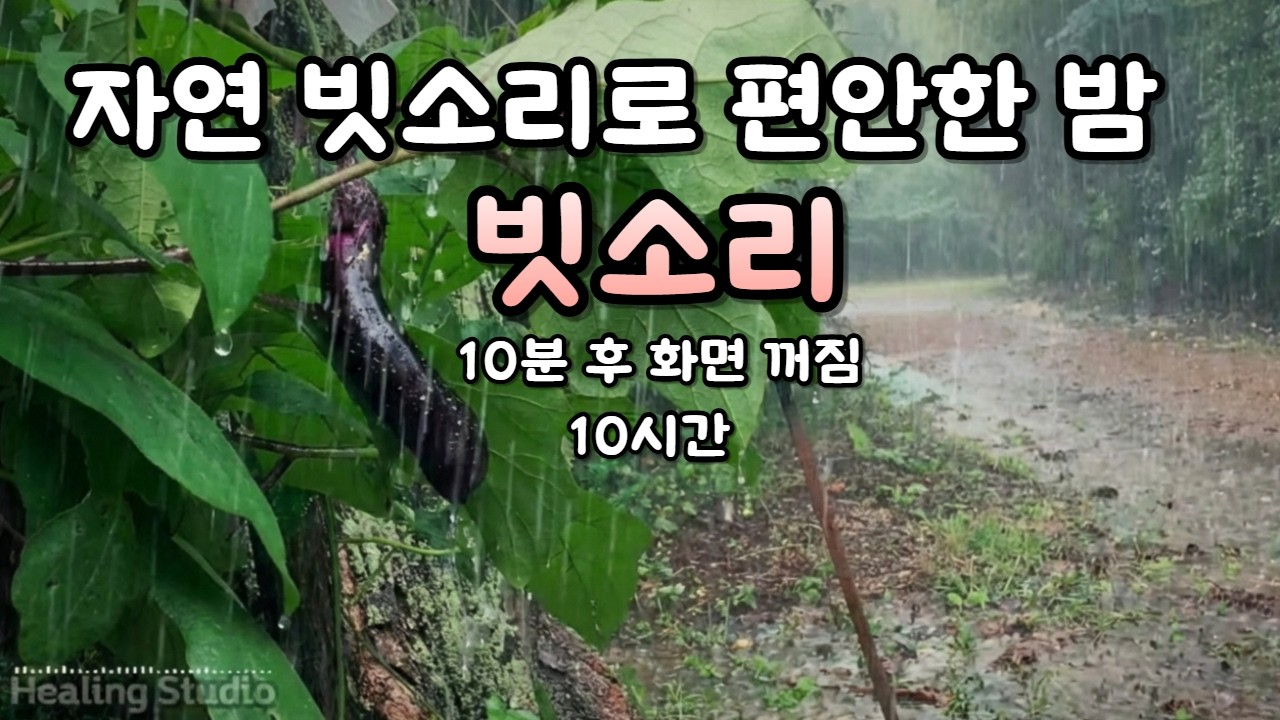 순수 자연 빗소리 | 깊은 수면과 휴식 (10시간) 직접 촹영, 녹음