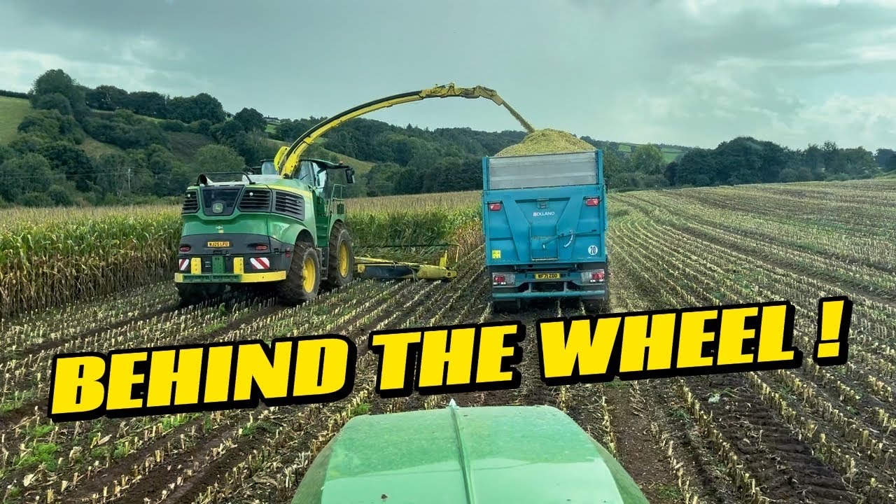 MAIZE HARVEST FROM BEHIND THE WHEEL!