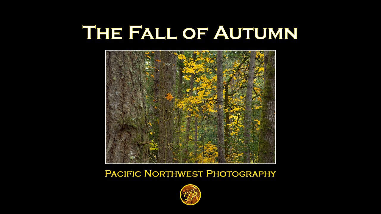 The Fall of Autumn