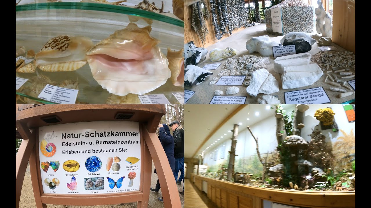 Ostsee - Naturschatzkammer - Ausstellung 2