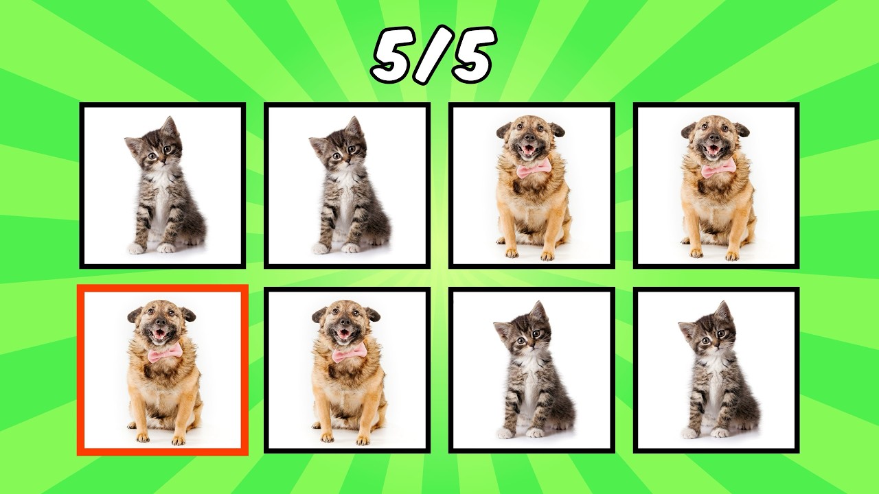 MULTI-LANG 🌐 Say The Word On Beat | Cat, Dog, Animals Edition